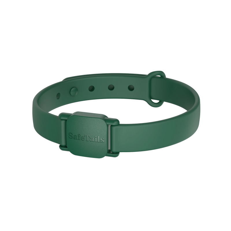 SafeTails Katzenhalsband – Waldgrün