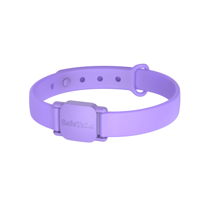 SafeTails Katzenhalsband – Lavendel