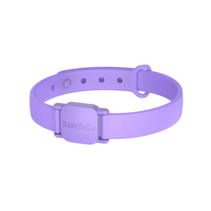 SafeTails Katzenhalsband – Lavendel