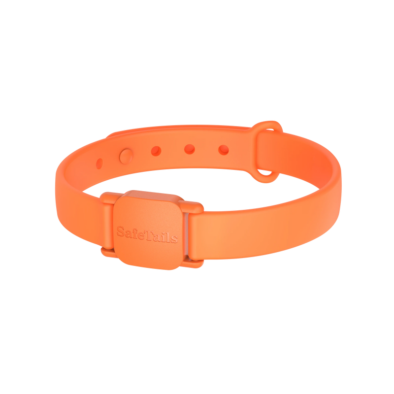 SafeTails Katzenhalsband – Mandarine